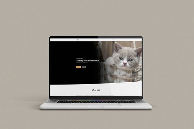 Webdesign Cattery vom Blütenreich